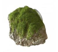 EBI AQUA DELLA pierre recouverte de mousse -S- env.12x9,5x10,5cm avec ventouses, 59430156