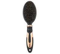 Ebi Brosse de Toilettage pour Chien Noir 22,5 x 6,5 cm