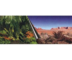 Ebi Jungle Poster Fond de Aquarium pour Aquariophilie 80 x 40 cm