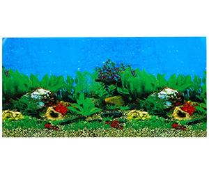 Ebi Mer/Rocher Poster Fond de Aquarium pour Aquariophilie 80 x 40 cm