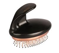Ebi, Noir Brosse à Picots Ergonomique 11x7x9,5cm Bronze/Noir, pour l'Hygiène, Bronze/Noir, Chien