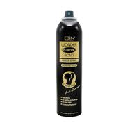 EBIN NEW YORK Wonder Ponytail Fix Spray Tenue longue durée - Cheveux épais 245 ml, contrôle des frisottis 24h, amélioration de la brillance, séchage rapide, léger