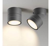 EBION Spots De Plafond Anthracite GX53, Spot En Saillie Orientable Pivotant à 90°, Max 35w,Murale éTanche IP65, Plafonnier En Aluminium Plafonnier Spot,Rond(Ampoule non incluse)