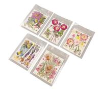 EBTOOLS 5 Sacs Assortis des Fleurs Pressées dans des Couleurs Vibrantes pour Les Projets de Bricolage, l'artisanat, Le Nail Art, la Conception de Bijoux et Plus (Type 2)
