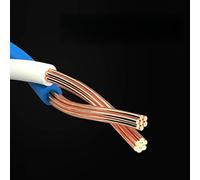 EBTOOLS Câble Ethernet Cat8 40 Gops Câble à Haut Débit 2000 MHz/Interface RJ45 Torsatée à Blindage/Gold, 15M (#4)