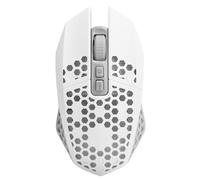 EBTOOLS Charge des Jeux RVB avec Conception de Ruches, connectivité 2,4 GHz et Confort Ergonomique - X801 (White)