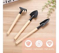 EBTOOLS Ensemble d'Outils de Plantation de Jardin 10pcs avec Ciseaux, Pinceaux et Pinceau pour les Plantes Succulentes et le bonsaï - Outils à Main le Jardinage Léger et Portable