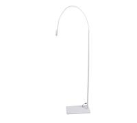EBTOOLS Lampe d'extension des Cils Professionnels avec Interrupteur à Pied, Remède en 2 à 3 Secondes, Taille Ponctuelle, Prise UE, (Plug UE 100-240V)
