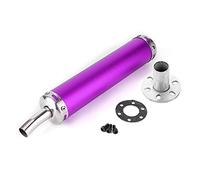 EBTOOLS Silencieux d'échappement en acier inoxydable, silencieux d'échappement 20mm/0.8in pièces modifiées pour moto 2 temps(Violet)