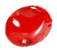 eBuyGB Lot de 6 Chauffe-Mains réutilisables en Gel instantané (Ovale Rouge)