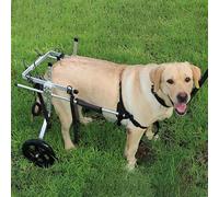 EBZFASO Fauteuil Roulant réglable pour Petit Chien - Aide Fauteuil Roulant réglable à Deux Roues en Alliage d'aluminium for Chiens de Taille Moyenne et Grande, Plusieurs Tailles(L)
