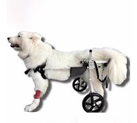 EBZFASO Fauteuil Roulant réglable pour Petit Chien - Aide Fauteuil Roulant réglable en Alliage d'aluminium for Chien, Aide à la mobilité à Deux Roues for Les Pattes arrière, Plusieurs Tailles(M)