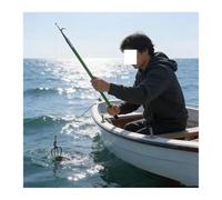 EBZFASO Gaffes télescopiques, Crochet de Bateau télescopique Longueurs Poteau 1 m-6 m Paquets 1-5(2pc,4m/13.1ft)