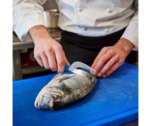 Ecailleur à poisson bleu triple action Vitécaille Nogent