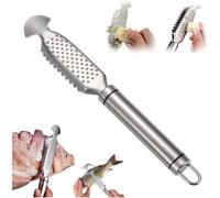 Écailleur à poisson et râpe à gingembre 2 en 1 en acier inoxydable avec poignée coulissante multifonction 2 en 1 pour détartrer, râper (22,9 cm, 2 pièces)