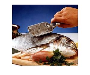 Ecailleur à POISSONS avec récupérateur Scalex WESTMARK