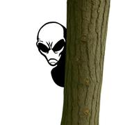 ECBLI Funny Alien Metal Sign, Alien Warning Sign, Garden Wall Art for Fence, Patio & Yard - Waterproof Ufo Themed Decoration - Gift for Prank Lovers & Alien Enthusiasts(Alien,1pc)