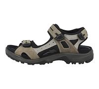 ECCO Homme Offroad Sandals, Vetiver/Wild Dove, 41 EU
