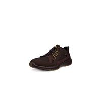 ECCO Homme Terracruise 2 Shoe Sneaker, Mocha/Mocha, 46 EU