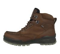 Ecco Piste 25 Rold MID GTX Bottes Hommes Chaussures de Marche Trekking