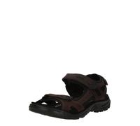 ECCO Homme Offroad, Moka, 46 EU