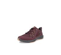 ECCO Terracruise II W GTX TEX, Chaussures de randonnée Femme, Aubergine, 38 EU