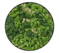 ECD Germany Tableau en Mousse de Renne d'Islande Stabilisée, Ø 40 cm, Rond | Décoration Murale Végétale Naturelle, sans Arrosage ni Entretien, Effet 3D, Pièce Unique, Cadre en Bois MDF, pour Intérieur