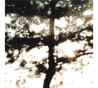 Ecdysis:Summer in the Forest [Import allemand]