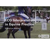 ECG Interpretation in Equine Practice