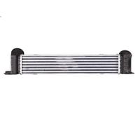 Échangeur air de suralimentation NISSENS 96725 pour BMW 1 (E87) 2 2004-2007