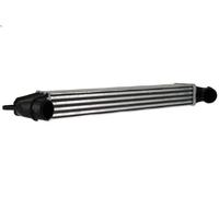 Échangeur air de suralimentation NISSENS 96736 pour DOBLO Monospace 1.3 2004-