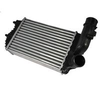 Échangeur air de suralimentation THERMOTEC DAF001TT pour ULYSSE (220_) 2 1994-