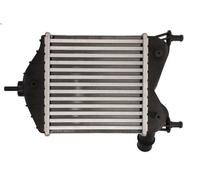 Échangeur air de suralimentation THERMOTEC DAF014TT pour MUSA (350_) 1.3 2004-