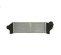 Échangeur air de suralimentation THERMOTEC pour TRANSIT Fourgon (FA_ _) 2 2000-