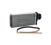 THERMOTEC D6P010TT Radiateur de chauffage