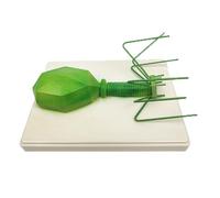 Échantillon Éducatif Pour Enfants, Enseignement D'Expérimentation Biologique Sur Les Germes Et Les Bactéries