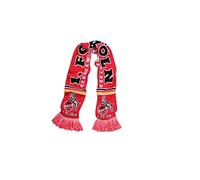 Écharpe de fan « Die Macht am Rhin » 1er FC Köln