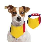 Écharpe de Noël avec drapeau de la Roumanie - Accessoire pour l'hiver - Cadeau saisonnier et tenue de vacances