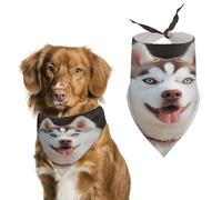 Écharpe de qualité supérieure pour animal de compagnie, imprimé chien husky piquant doux et respirant, bandana triangulaire pour chiens et chats, parfait pour un usage quotidien ou des occasions