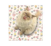 Écharpe d'emmaillotage pour chat - Couverture anti-fuite pour chaton - Texture douce - Accessoire de toilettage multifonction - Pour les amoureux des animaux domestiques et les