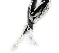 Echarpe - LES TRESORS DE LILY - Liberty - Noir Ivoire - 20% lin 80% coton