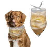 Écharpe Lotus Champagne pour animal domestique - Amusante - Réglable - Lavable - Décoratif - Triangle - Bandanas pour chiens de taille moyenne - Pour animal domestique - Usage quotidien - Pour les