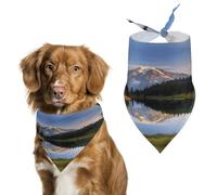 Écharpe pour animal de compagnie - Bandana pour chiens - Images de montagne et de lac imprimées pour la plupart des chiens et chats