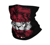 Echarpe Tête Pirate Lion Drôle Drapeau De Lettonie Protection du Visage sans Soudure Bandeau Magique pour Course À Pied, Randonnée, Yoga