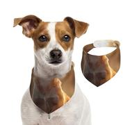 Écharpe The Little Dog debout sur l'herbe sous le coucher du soleil pour animal domestique, bandanas pour chien printemps été en coton doux, accessoires réglables pour petit, moyen et grand, fille