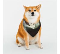 Écharpe triangulaire élégante en forme de bateau pirate sous le soleil pour animal domestique, accessoire pour animal domestique, foulard lavable pour fille, garçon, chien ou chat, taille M