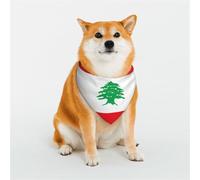 Écharpe triangulaire élégante pour animal domestique Motif drapeau du Liban Accessoire pour animal domestique, lavable pour fille, garçon, chien ou chat Taille S