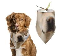 Écharpe triangulaire en polyester imprimé chien labrador mignon - Taille unique (70,1 x 30 cm)
