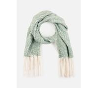 Echarpes et Foulards Pieces Pcnima Long Scarf Bc pour Femme T.U Vert
