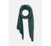 Echarpes et Foulards Pieces PCPYRON LONG SCARF NOOS BC pour Accessoires T.U Vert